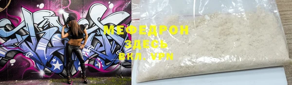шишки Белокуриха