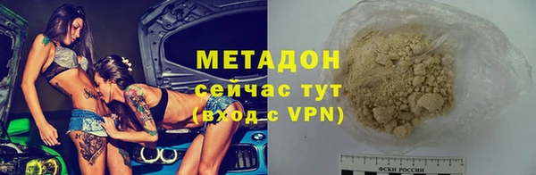 шишки Белокуриха