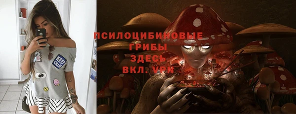 шишки Белокуриха