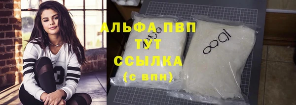 шишки Белокуриха