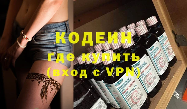 шишки Белокуриха