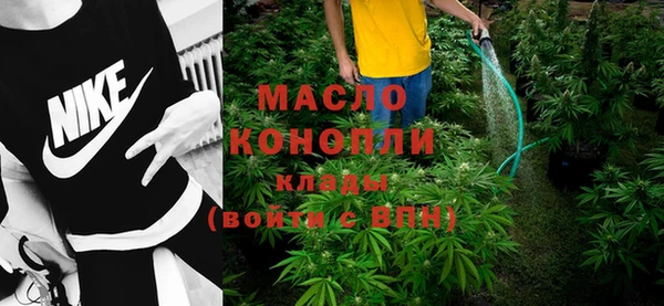 шишки Белокуриха