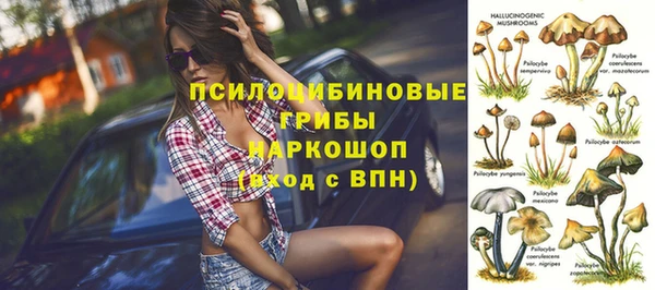шишки Белокуриха