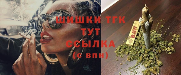 шишки Белокуриха
