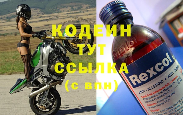 шишки Белокуриха