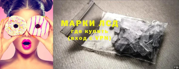 шишки Белокуриха