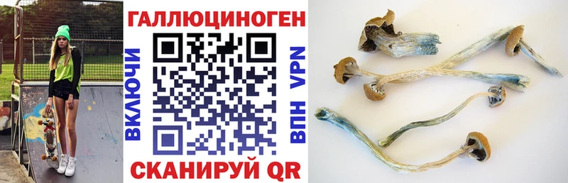МЕГА зеркало  Костерёво  Галлюциногенные грибы прущие грибы 